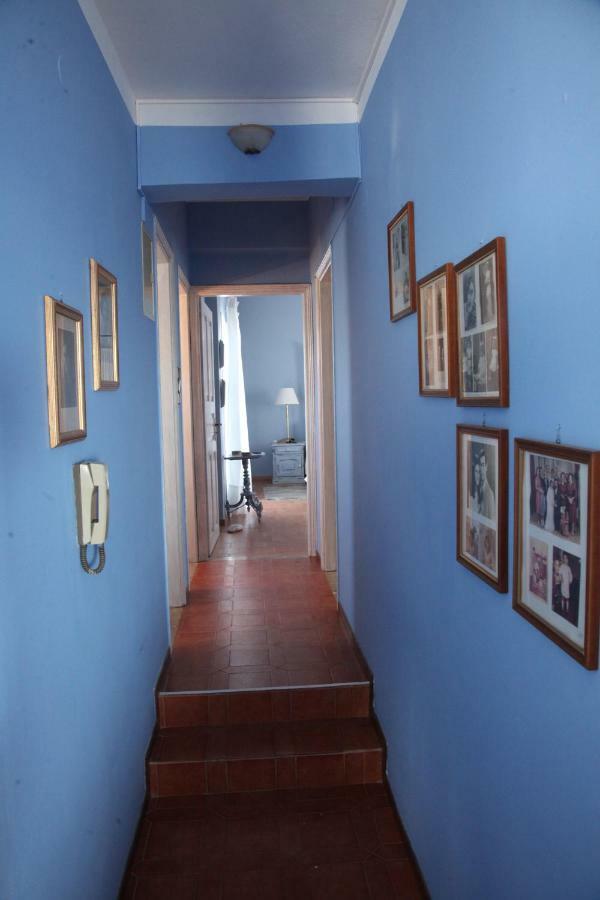 The Collector'S Home Finikas  Luaran gambar